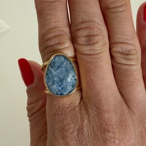 Circle of Fragments Adjustable Ring